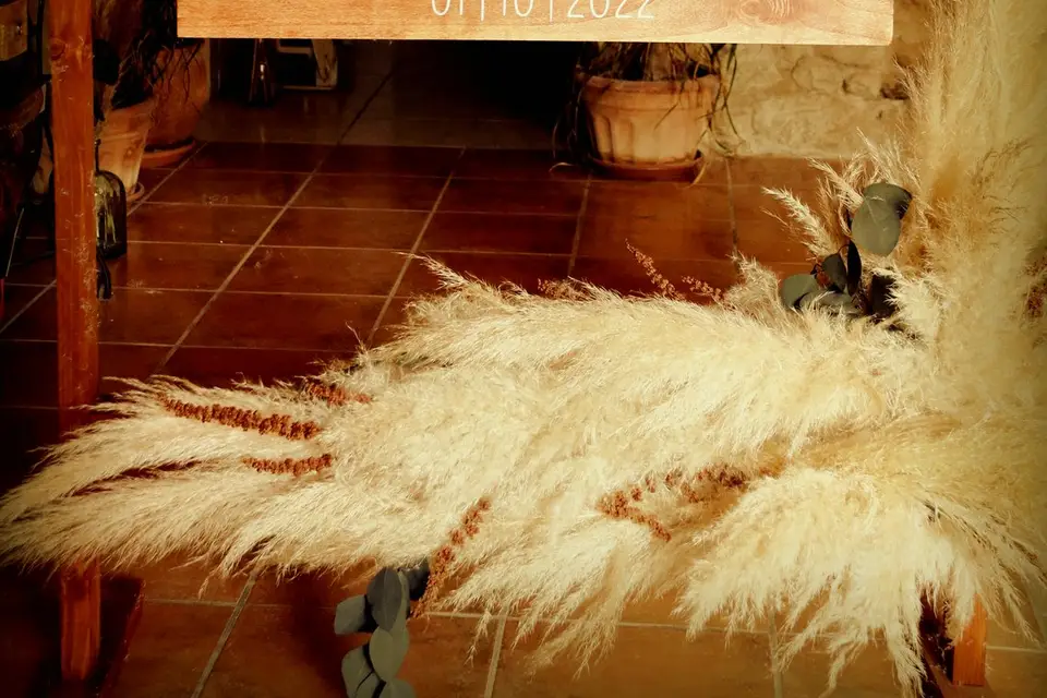 Anna&cie — photo 2