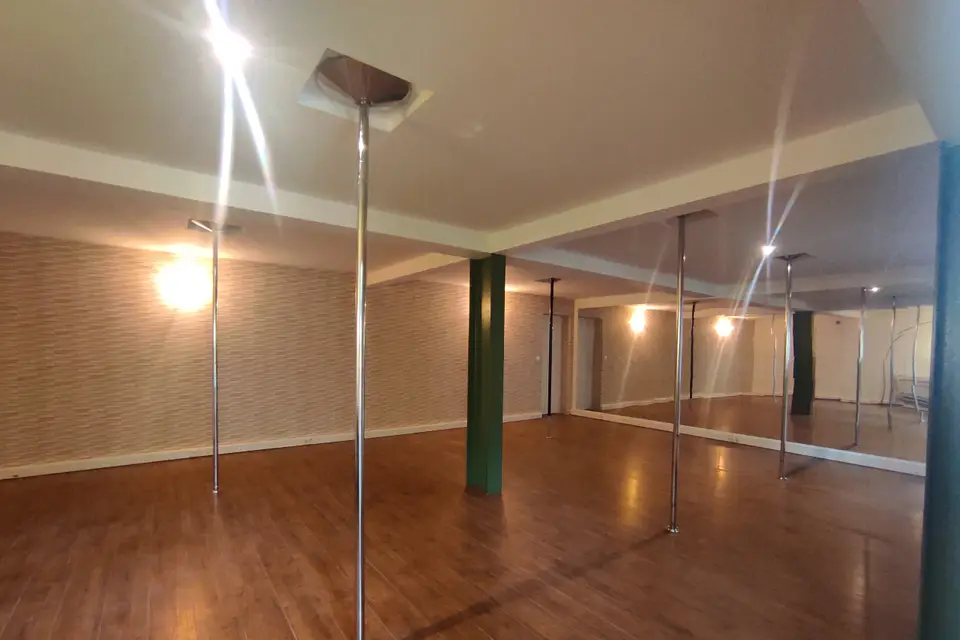 Stargazer — photo 1