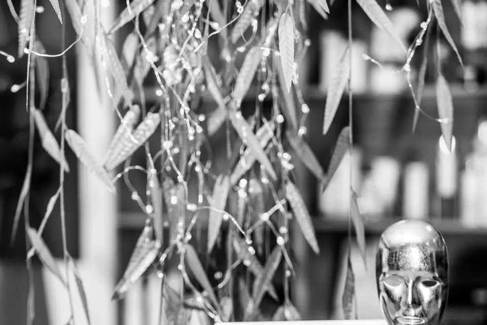 Le Gold Phone — photo 6