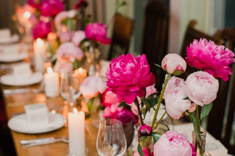 Maison Olympes Événementiel — photo 8