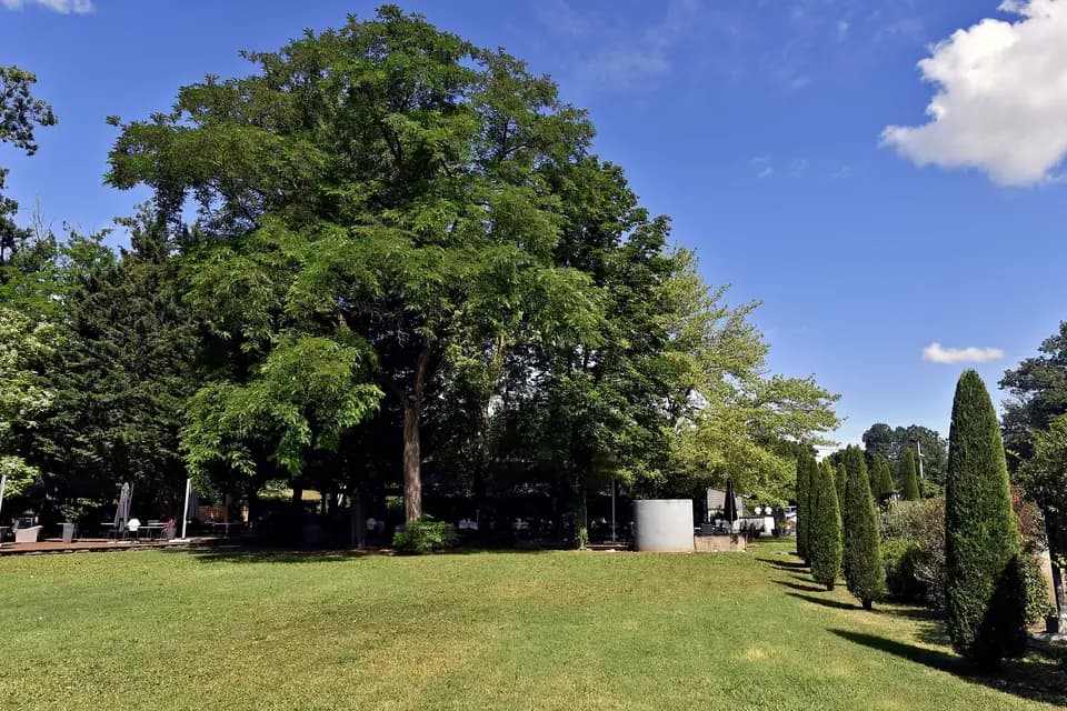 Chez Paul O — photo 8