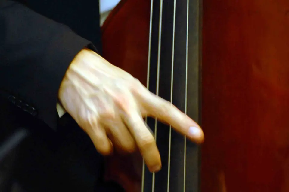 Jazz It Up — photo 8