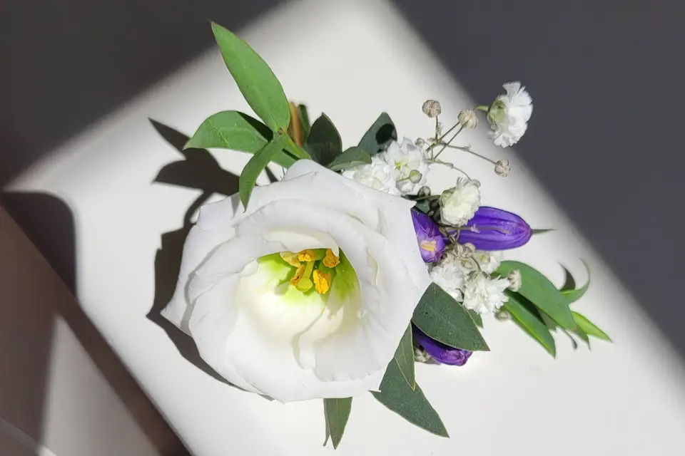 Jessy, Fée des Fleurs