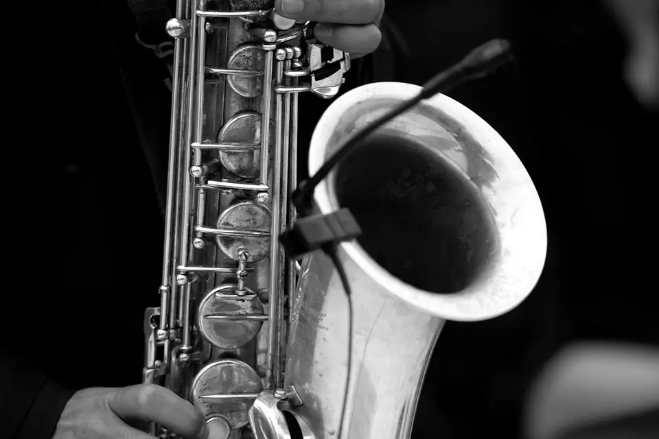 Jazz It Up — photo 5