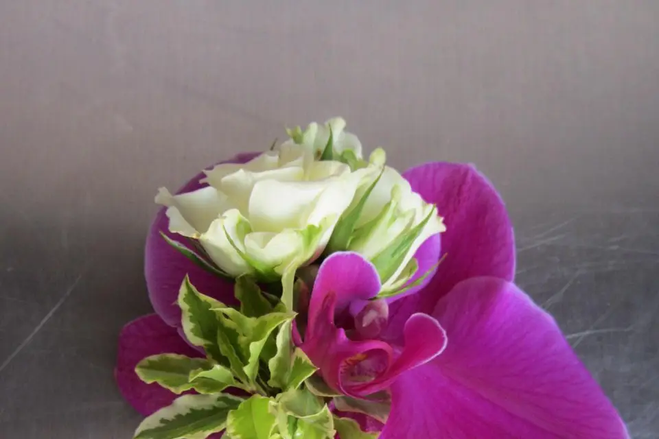 Jessy, Fée des Fleurs — photo 5