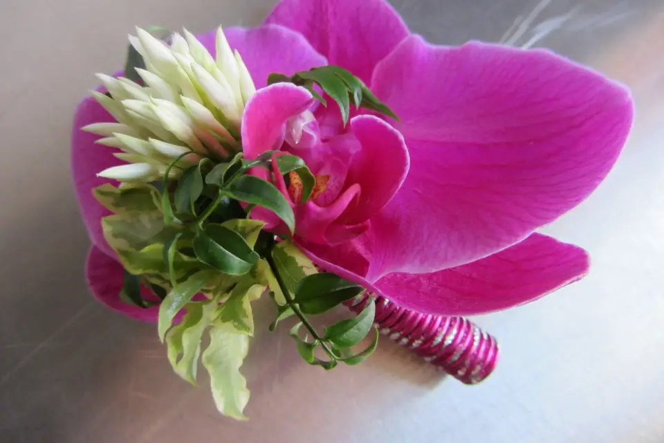 Jessy, Fée des Fleurs — photo 4