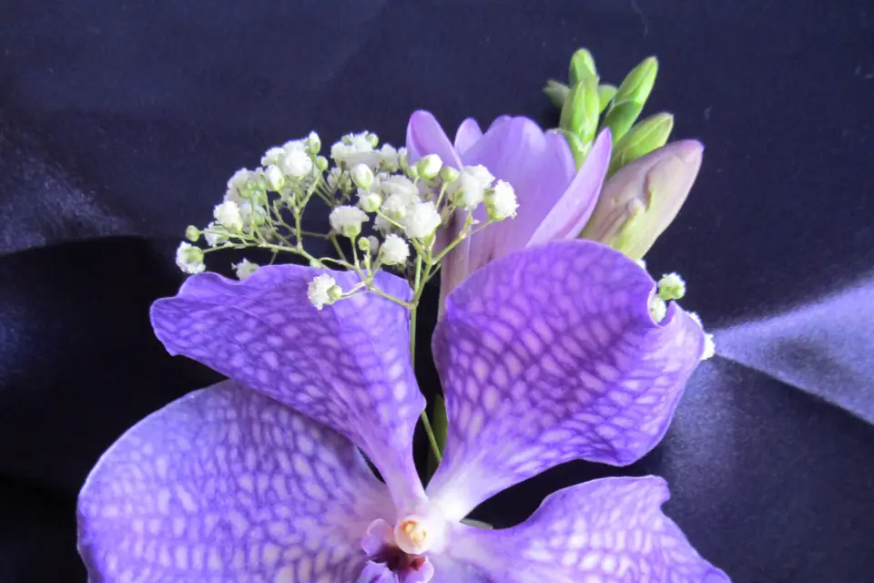 Jessy, Fée des Fleurs — photo 2