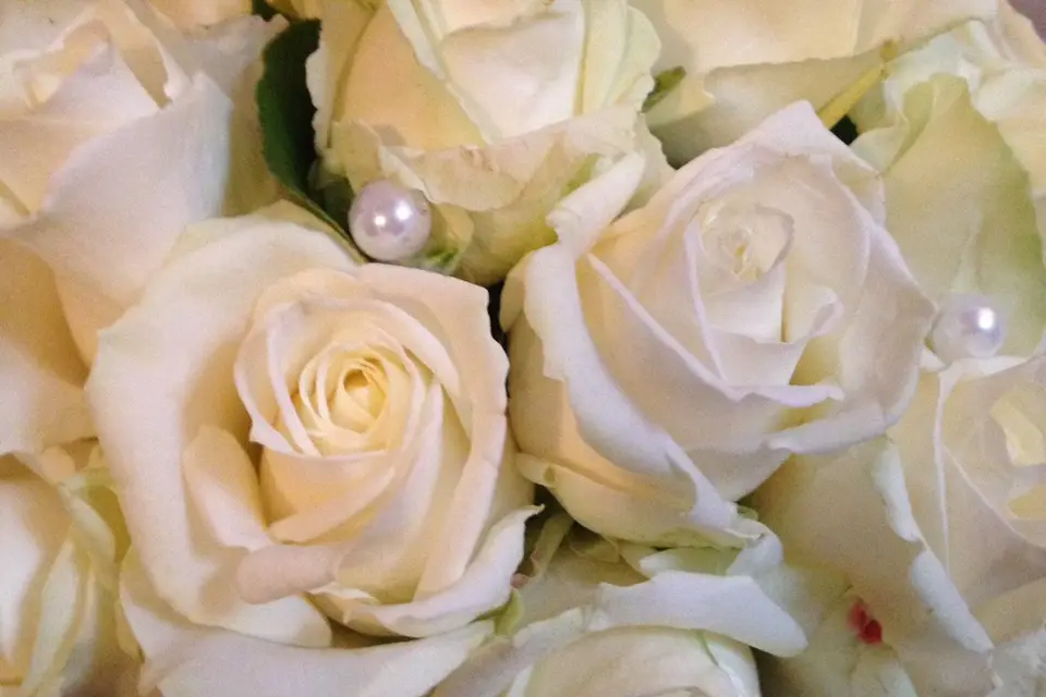 Magic Beauté — photo 8