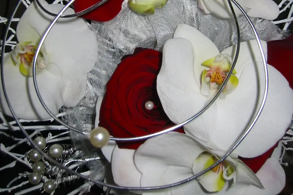 L'Arbre à Fraise — photo 4