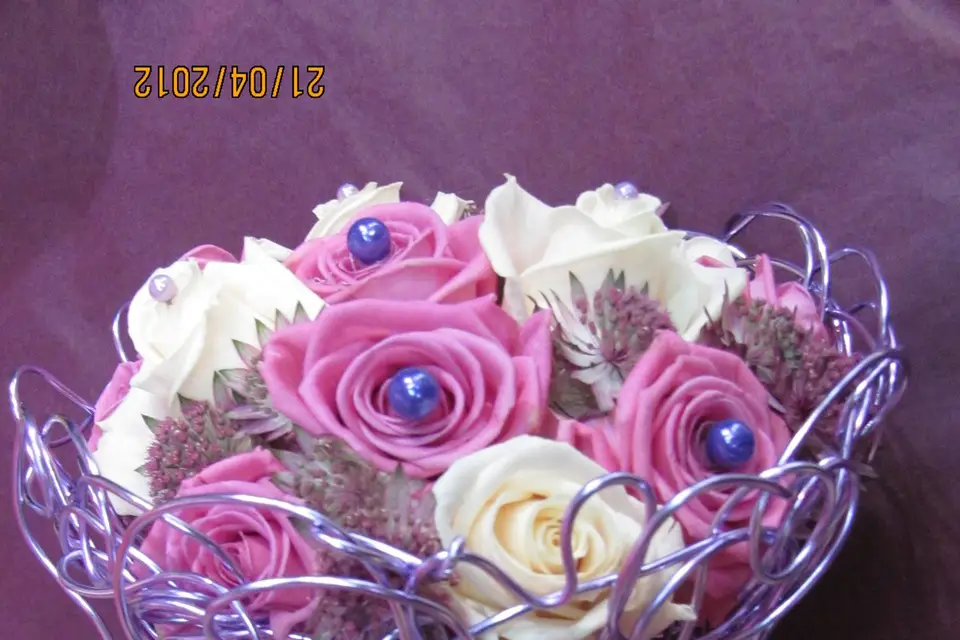 L'Arbre à Fraise — photo 7