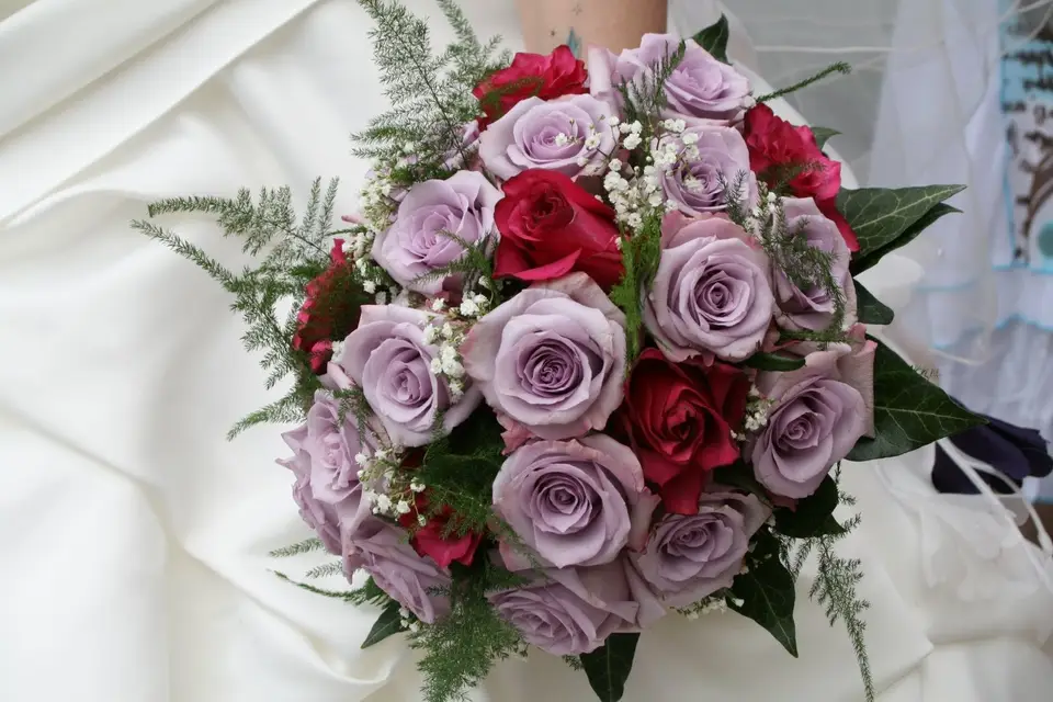 L'Arbre à Fraise — photo 8