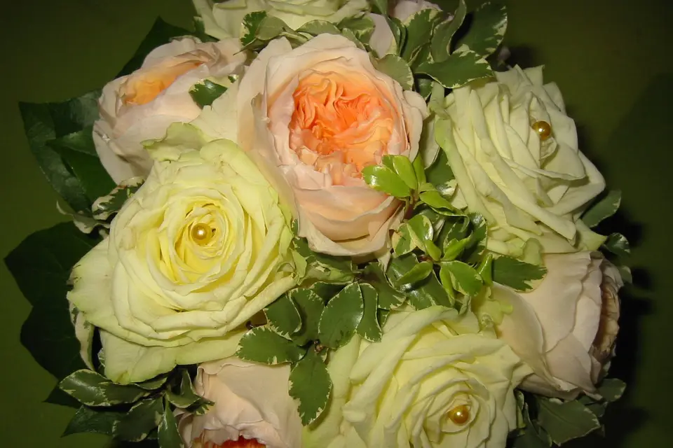 L'Arbre à Fraise — photo 5