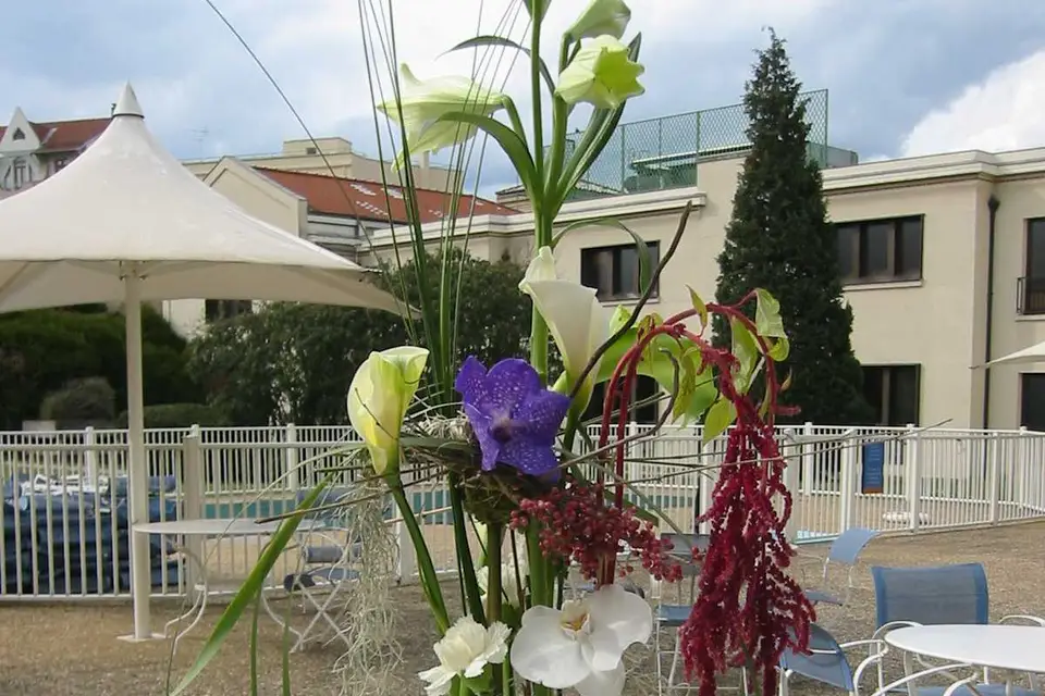 L'Arbre à Fraise — photo 3