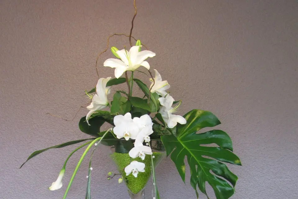 L'Arbre à Fraise — photo 2