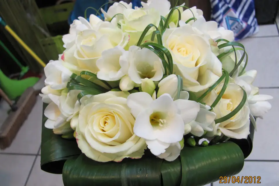 L'Arbre à Fraise — photo 6