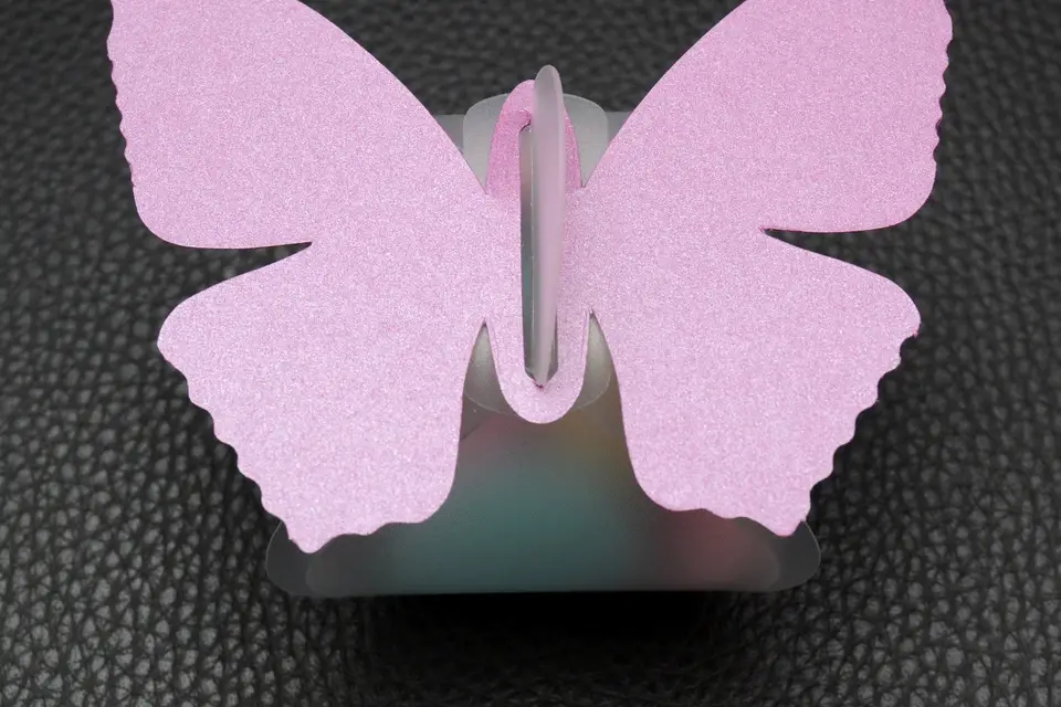 Photodécomariage — photo 5