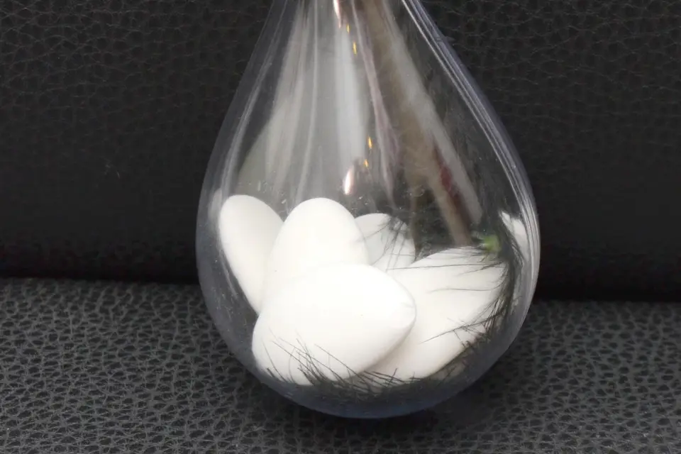 Photodécomariage — photo 7