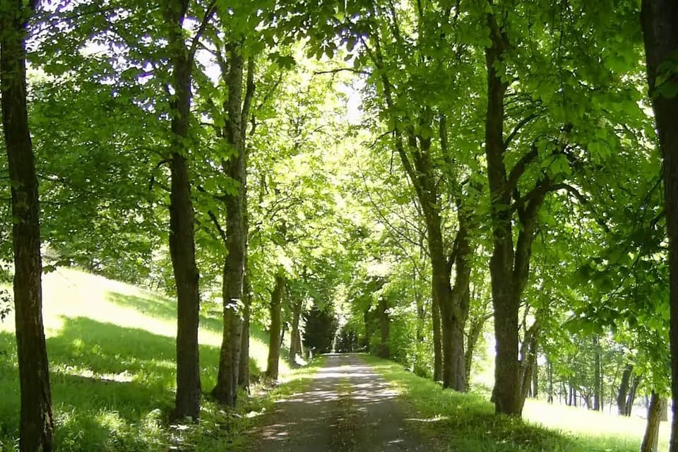 Château Puy Robert — photo 7