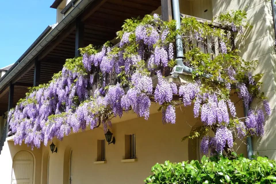Château Puy Robert — photo 3