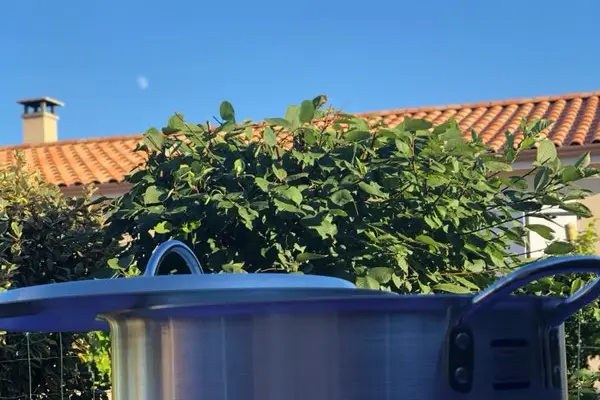 Haroussi Location — photo 4