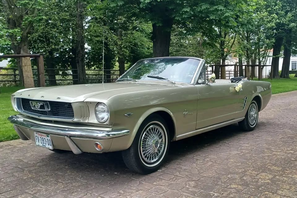 Jean Pierre — photo 2