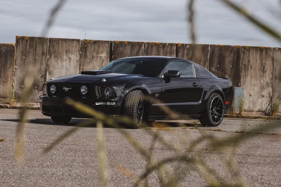 Eddy Martinez — photo 3