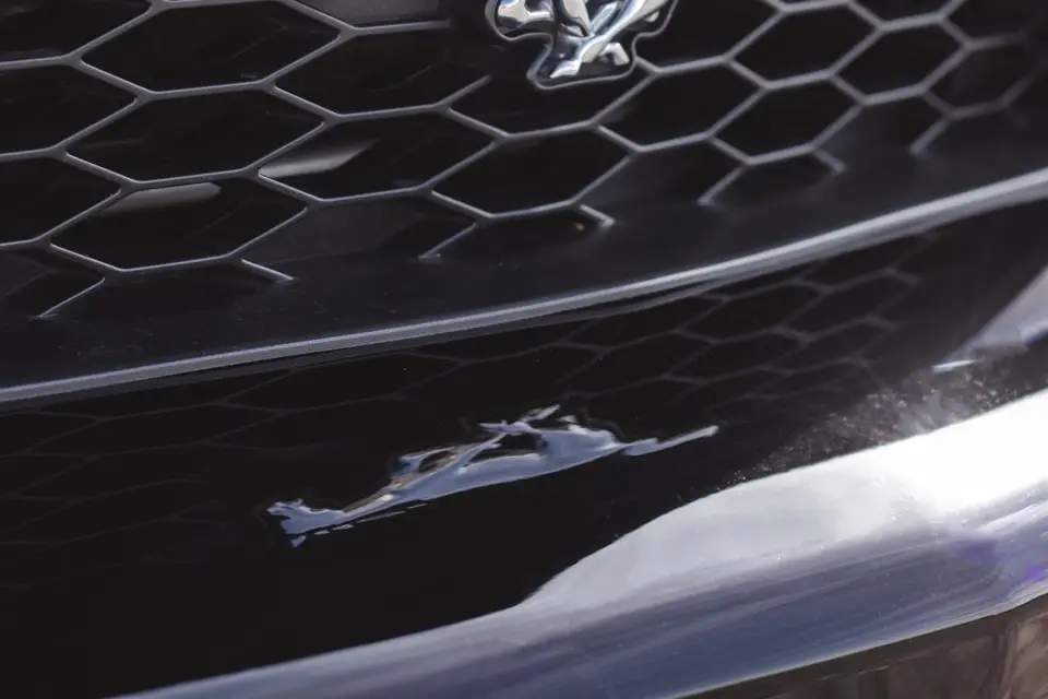 Eddy Martinez — photo 5