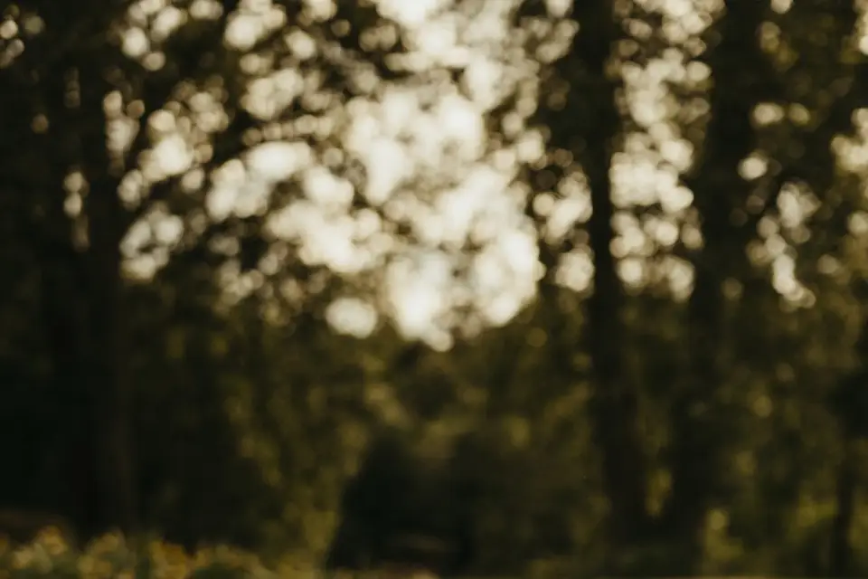 Lou Castelviel — photo 7