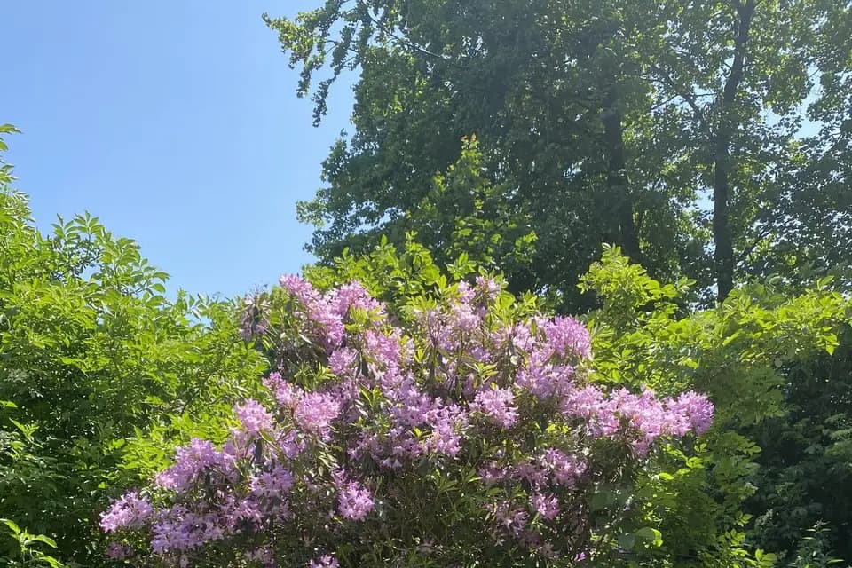 Chateau Loyd and Spa — photo 6