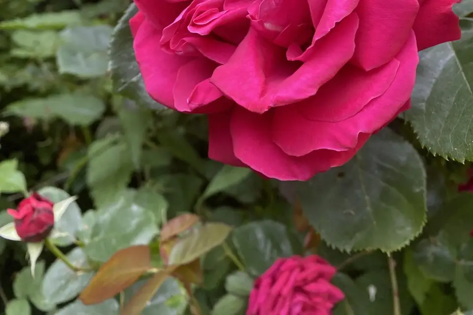 Chateau Loyd and Spa — photo 7