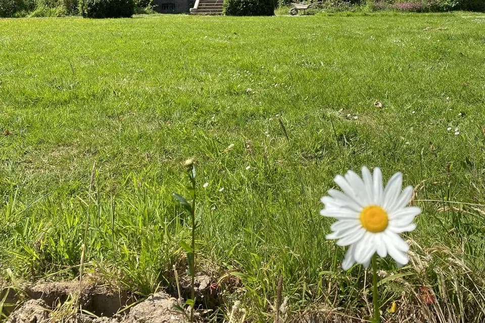 Chateau Loyd and Spa — photo 2