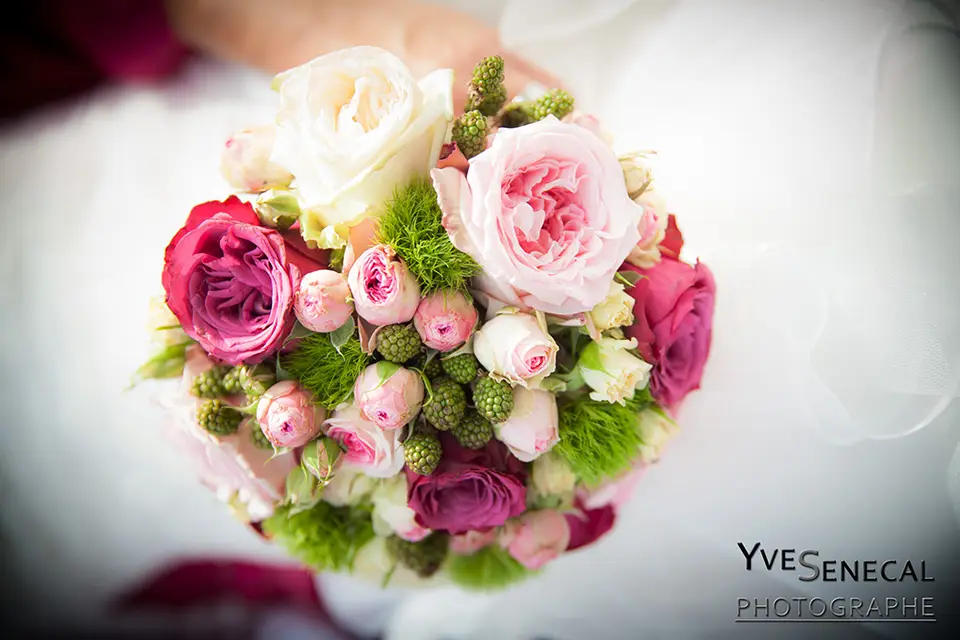 Yves Sénécal — photo 6