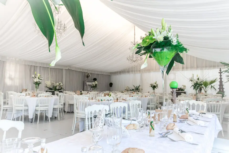 Dod Illustratrice — photo 1