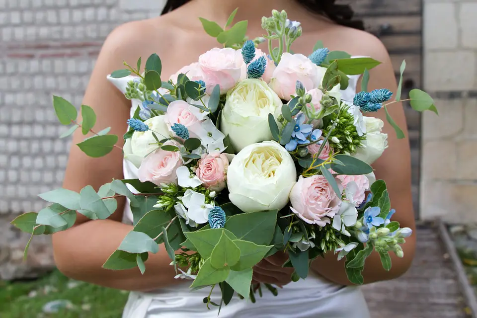 Alekssandre Casay Photographe — photo 6