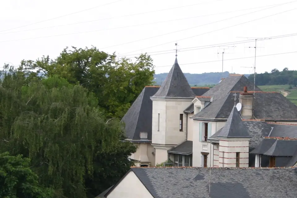 Domaine Ratron - Clos des Cordeliers — photo 5