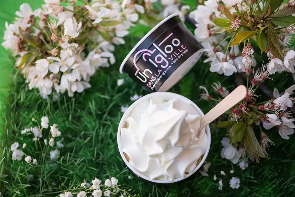 Un Igloo dans la ville