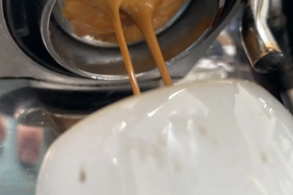 Monsieur Caféine — photo 7