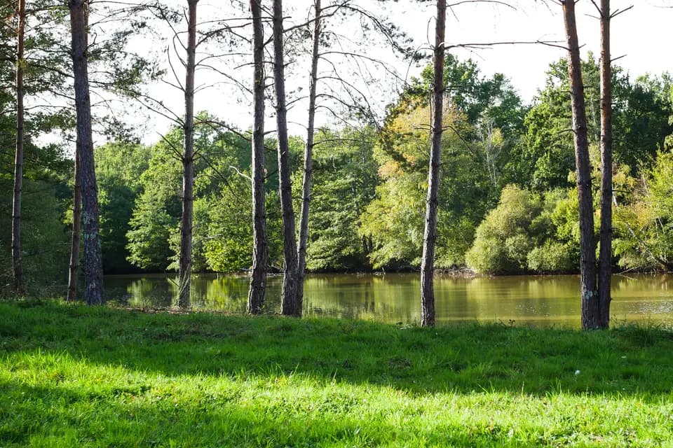 Residence Isola — photo 3