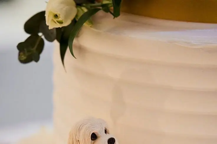 Petits & Grands Instants — photo 7