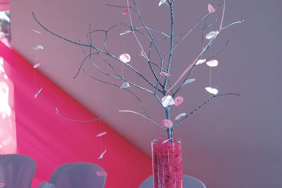 C-ma-création — photo 8