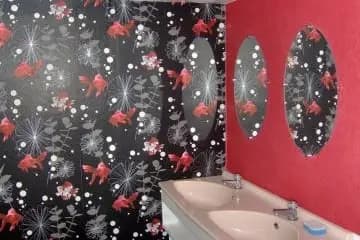 Franck Location — photo 7