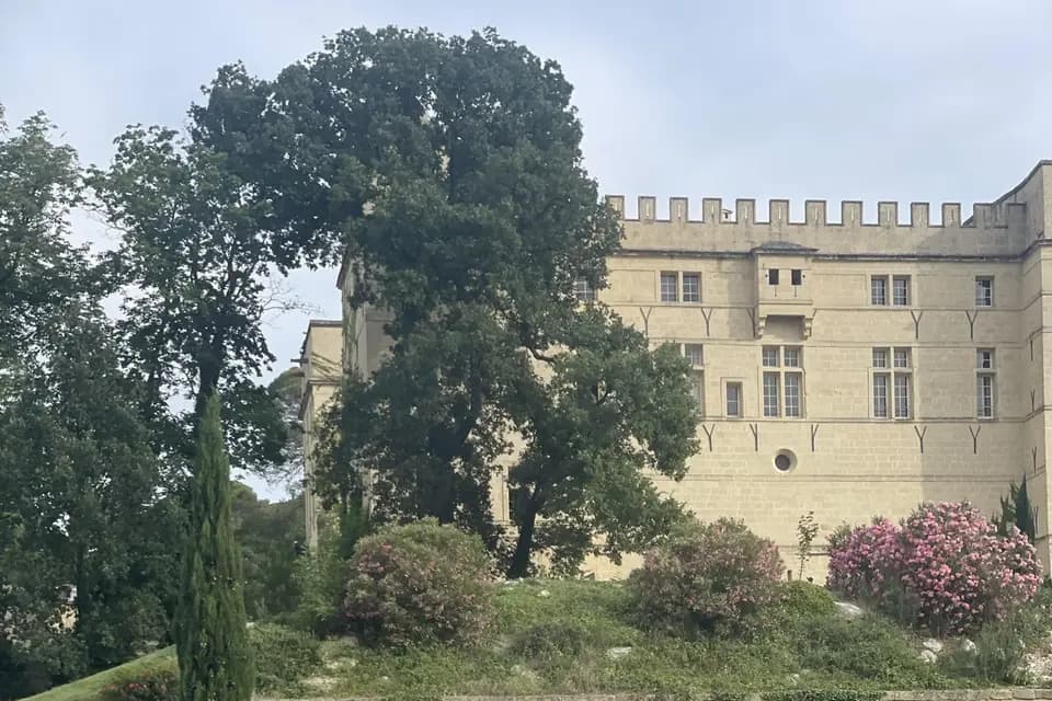 Mh pro driver — photo 4