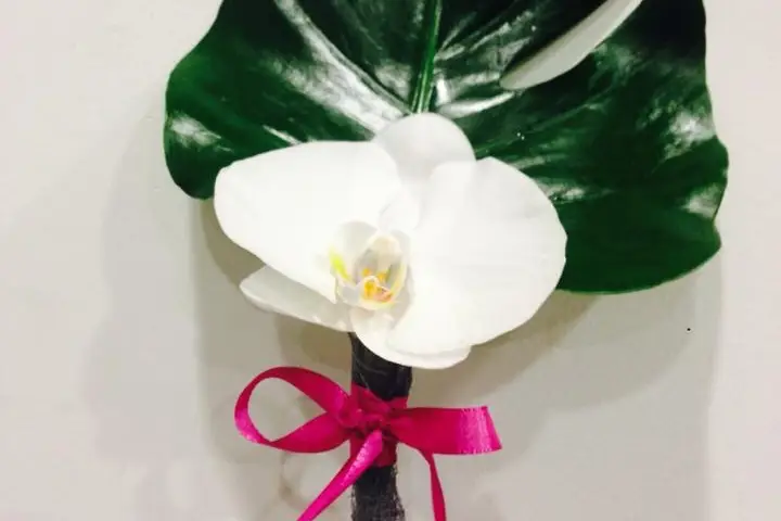 Le Jardin de Jade — photo 7