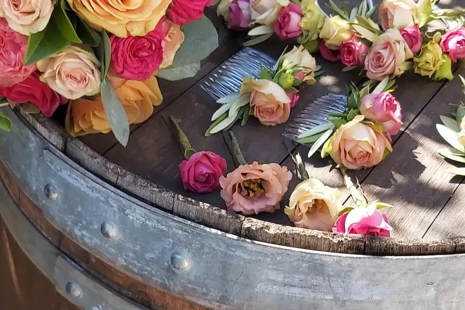 CED Dream Event — photo 2