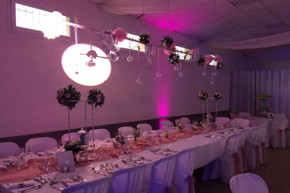 CED Dream Event — photo 7