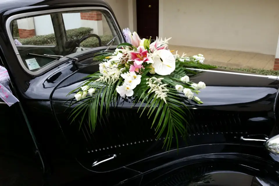 Tract Evasion — photo 3