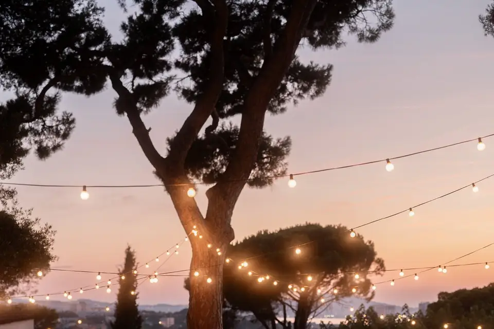 Un Zeste — photo 3