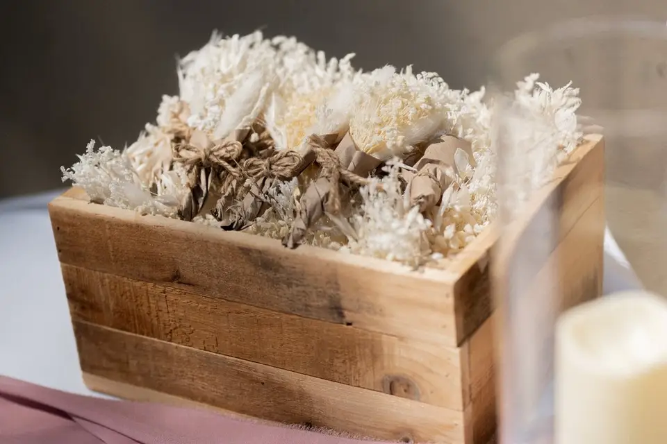 Un Zeste — photo 4