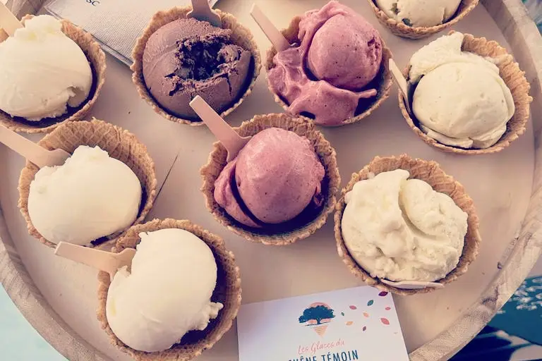 Les Glaces du Chêne Témoin — photo 4