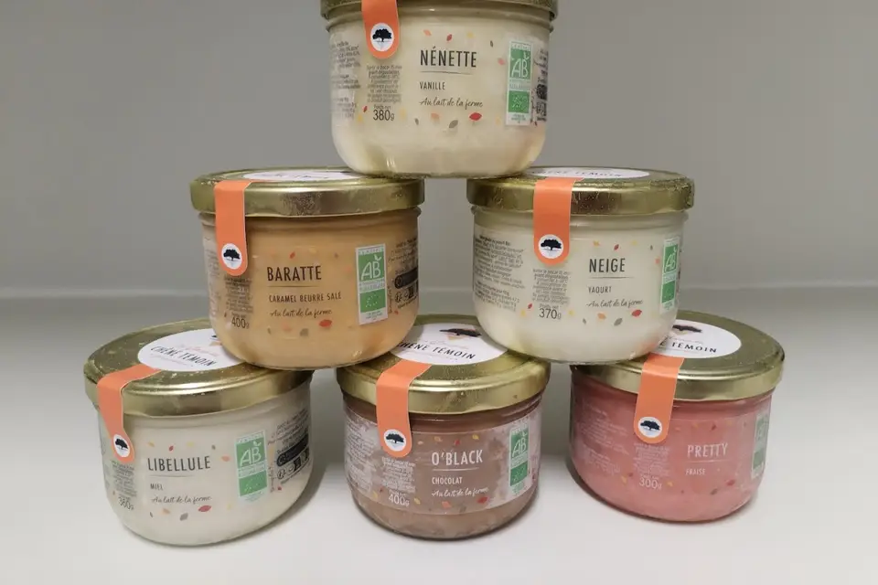 Les Glaces du Chêne Témoin — photo 3